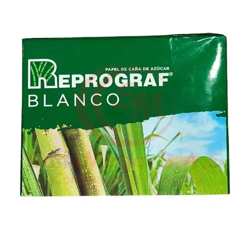 [121503] Resma Media Oficio 21.6 X 16.5 Cm